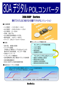 詳細情報（PDF）