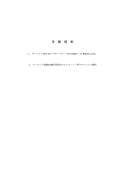 マレイシア民営化における開発協力事業基礎調査団報告書