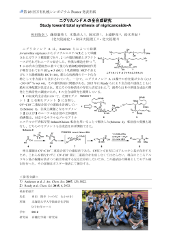 ニグリカノシド A の全合成研究 Study toward total synthesis of
