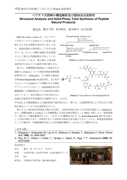ペプチド天然物の構造解析及び固相全合成研究 Structural Analysis