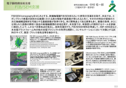 FIB/SEM  援