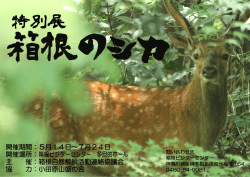 特別展 - 箱根ビジターセンター