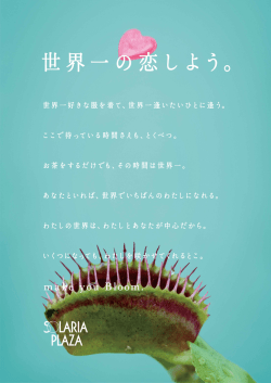 世界一の恋しよう