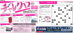 レッドブル・エアレース 千葉