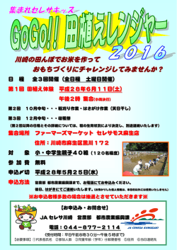 川崎の田んぼでお米を作って おもちづくりにチャレンジし