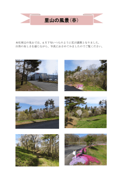 里山の風景(春)