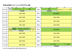 平成28年度インターンシッププログラム（案）