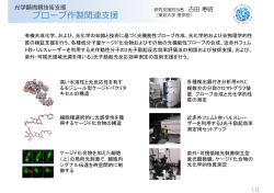 プローブ作製関連  援