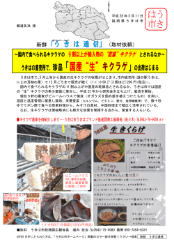 2016.5.11発表／うきはの直売所で、珍品「国産“生”キクラゲ」