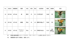 当所で収容している犬の情報 [PDFファイル／25KB]
