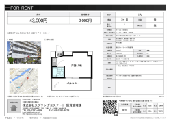 資料PDF - スプリングエステート