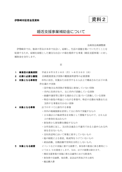 婚活支援事業補助金(PDF文書)
