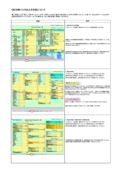 CIIC分析パックの入力方法について