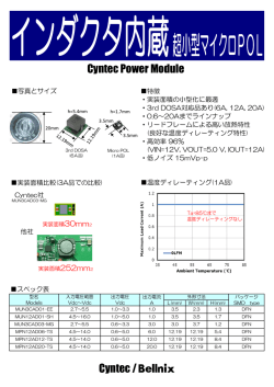 詳細情報（PDF）