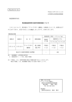 プレスリリース資料 (PDF documentファイル サイズ： 45Kb)