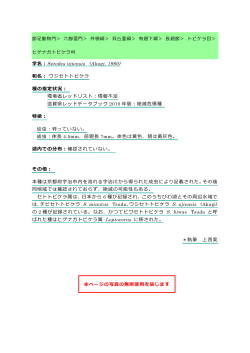 ウジセトトビケラ（PDF：84KB）