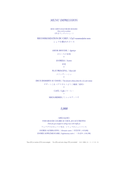 詳細情報を見る（PDF）