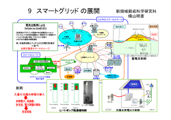 pdf-1p-214kb - 東京大学大学院新領域創成科学研究科