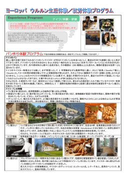 ヨーロッパ体験プログラム - 国際交流サポートセンター