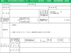 補助事業概要書（実績版）