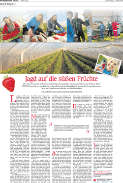 Jagd auf die s&uuml;&szlig;en Fr&uuml;chte