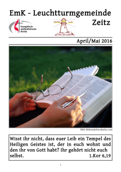 PDF-Datei - Leuchtturm