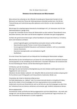 Hinweise zur Abfassung der Masterarbeit