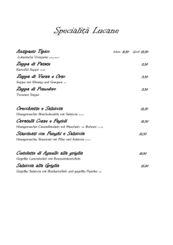 Speisekarte - Peperoncino Pizza e Cucina