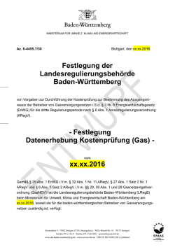 Festlegung Datenerhebung Kostenpr&uuml;fung (Gas)