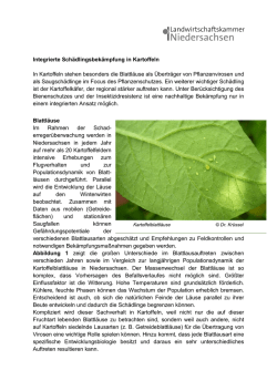 Integrierte Sch&auml;dlingsbek&auml;mpfung in Kartoffeln