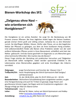 Bienen-Workshop des SFZ: „Zielgenau ohne Navi – wie orien eren