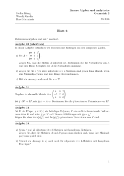 Blatt 6