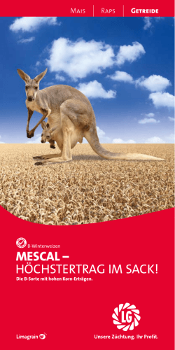 mescal – höchstertrag im sack!