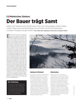 Der Bauer trägt Samt