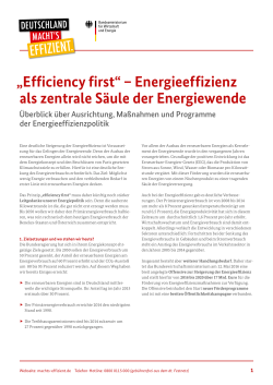 „Efficiency first“ – Energieeffizienz als zentrale Säule der
