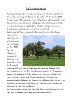 Die Streuobstwiese