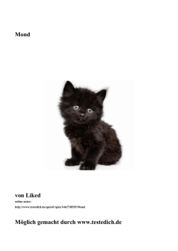 PDF: Das Ebook zur Geschichte
