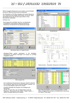 RS - Ein / Ausgaben Rechnung V2 - RS