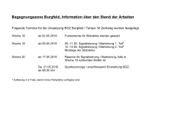Begegnungszone Burgfeld, Information über den Stand der Arbeiten