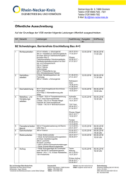 BZ Schwetzingen, Barrierefreie Erschließung - Rhein-Neckar