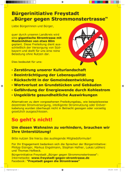 Infoblatt der Bürgerinitiative Freystadt