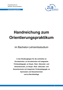 Handreichung zum Orientierungspraktikum