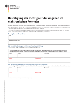 Best&auml;tigung der Richtigkeit der Angaben im elektronischen