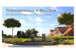 terrassenhaus in bellikon