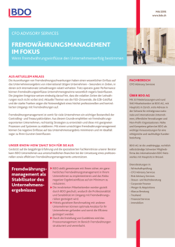 Fremdwährungsmanagement im Fokus