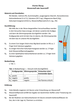 Chemie-Übung: Wasserstoff oder Sauerstoff? Material und