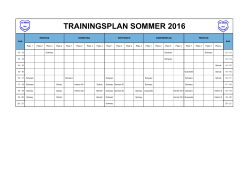 Trainingsplan Sommer 2016