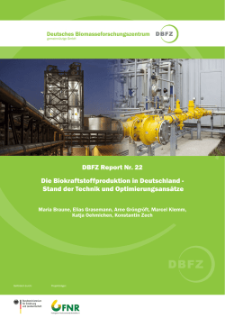 DBFZ Report Nr. 22 - Deutsches Biomasseforschungszentrum