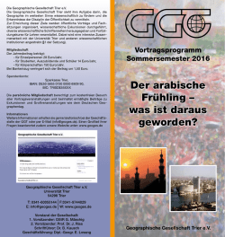 Der arabische Frühling – was ist daraus geworden?