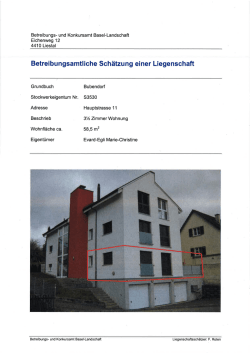 Betreibungsamtliche Sch&auml;tzung - Kanton Basel
